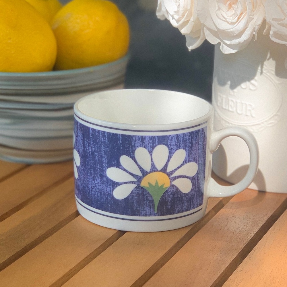 $2/20 Oneida Spring Daisy 9oz Ceramic Mug